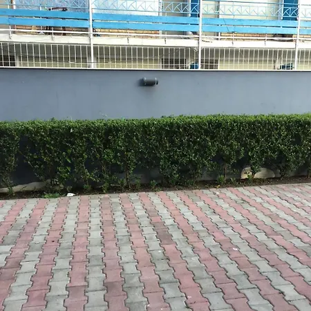 酒店 Flower Street