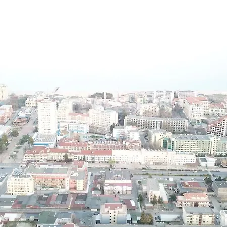 Flower Street 内塞伯尔